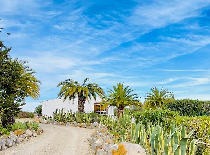 Willa Serro Vinhas *